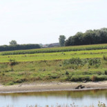 't Goedhof Extérieur