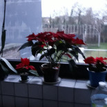 Le Champrés Extérieur