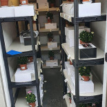 Mathias Bakery Jasmine Exterior