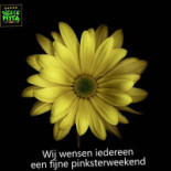 La Dolce Pitta Boisson