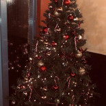 La Dolce Pitta Extérieur