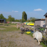 Blauwe Hoeve Extérieur