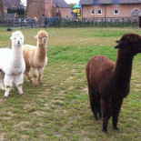 Blauwe Hoeve Extérieur