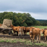 Boulanger R. Extérieur