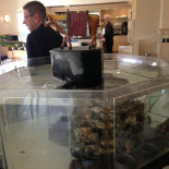 Ten Voute À l'intérieur