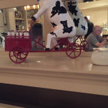 Ten Voute À l'intérieur