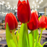 Maison Kyoto Boisson