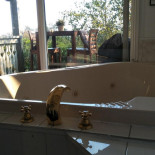 Au Grain D'sel Boisson