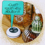 Kaffee Kom-il-foo Bebida