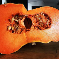 Sail Anchor Antwerp drink