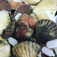 Sail Anchor Antwerp food