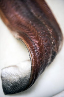 Sail Anchor Antwerp drink