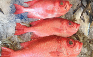 De Korenaar Nourriture