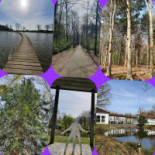 De Groene Specht Extérieur