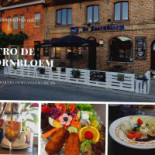 De Korenbloem Exterior