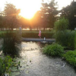 Pur Boeuf Extérieur