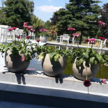 Pur Boeuf Extérieur