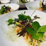 Het Patronaat Bebida