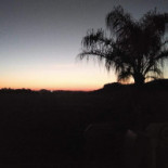 De Cherubijn Boisson