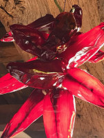 Moeder Agnes Boisson