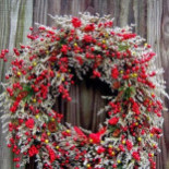 De Wieling Extérieur