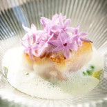 The Cellar Mechelen Boisson