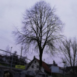 Robertissimo Extérieur