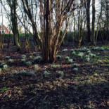 Eetcafe De Overkant Exterior