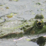 Eetcafe De Overkant Exterior