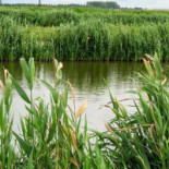 Eetcafe De Overkant Extérieur