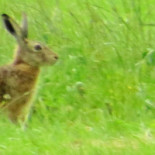 Eetcafe De Overkant Bebida