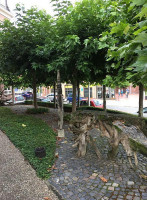 De Rozenstruik Extérieur