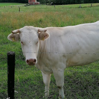 De Rozenstruik Extérieur