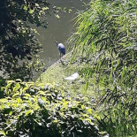 T Forum Edegem Extérieur