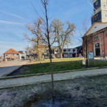 Brasserie Uit Extérieur