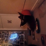 Arie's À l'intérieur