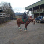 Defeche Willy Extérieur