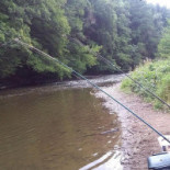 Defeche Willy Extérieur