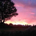 Defeche Willy Extérieur