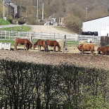 Defeche Willy Extérieur
