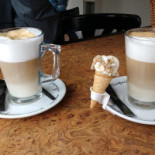 Snackbar Eetcafe Bebida