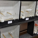 Cafe Spikker Lettele Boisson