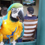 Cafe Spikker Lettele Boisson