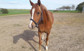 Frituur Ba Munckske Exterior