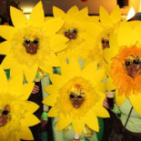 Eetcafe Het Anker Bebida