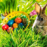 Mariska's Corner Andijk Boisson