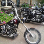 De Zwammenberg Extérieur