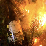 Café Aurora Boisson