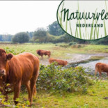 De Berghut Extérieur