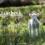 De Klaarbeek Boisson